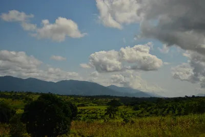 DSC_4390 (Large).JPG